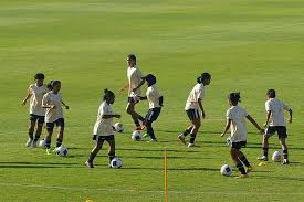 Akademi Sport Berkualitas